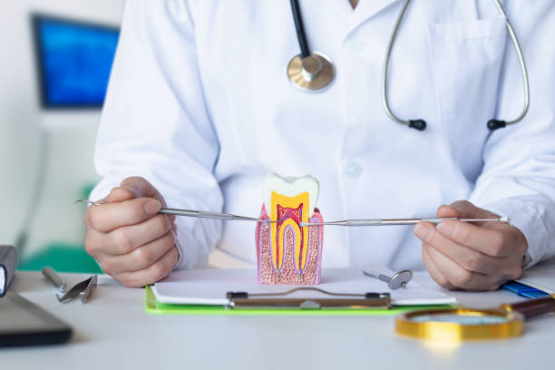 Best Emergency Dentist for Knocked-Out Tooth in Yorkshire, VA